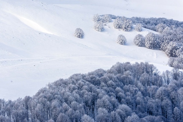 Sne, ski og sjov: Unge eventyrere i val thorens
